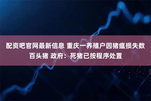 配资吧官网最新信息 重庆一养殖户因猪瘟损失数百头猪 政府：死猪已按程序处置